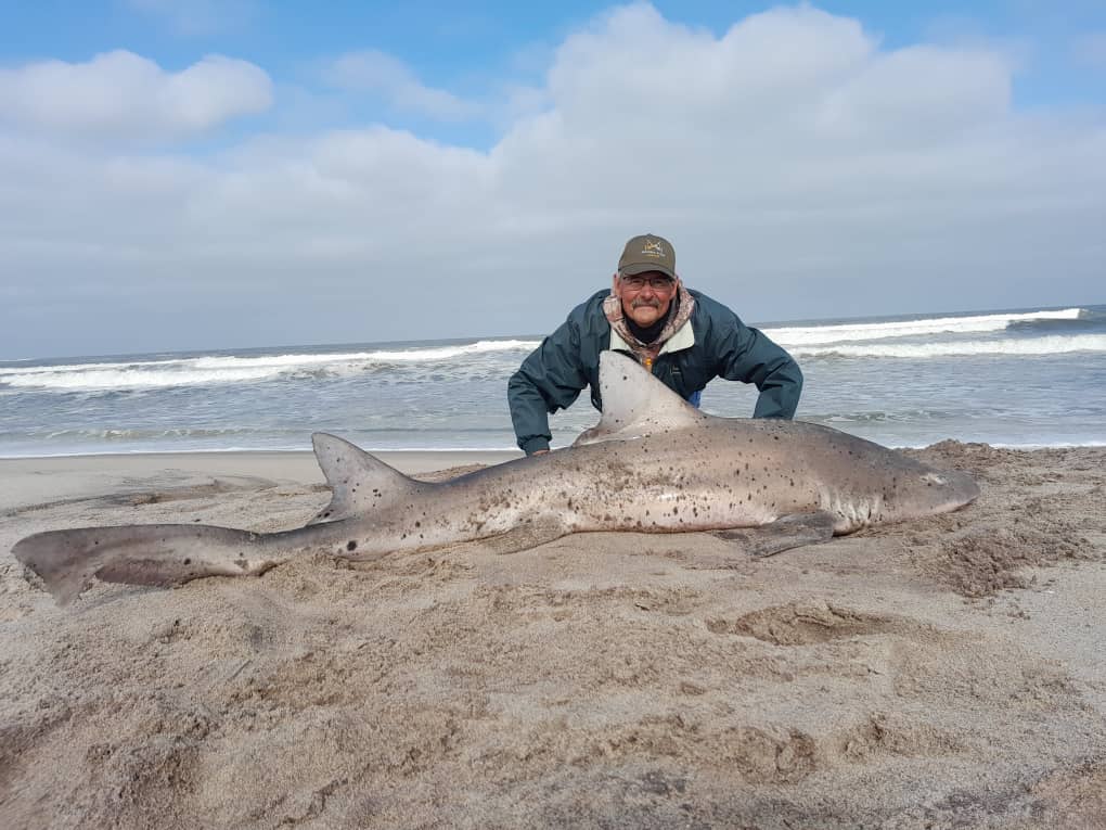 Spotted Shark Catch